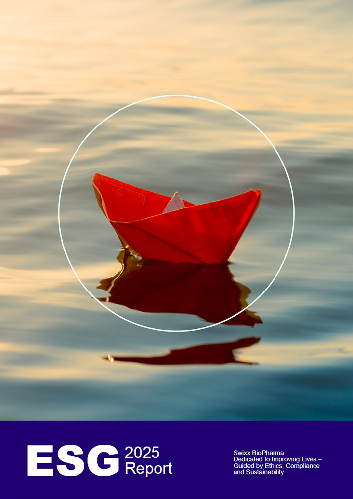 ESG Strategy Framework